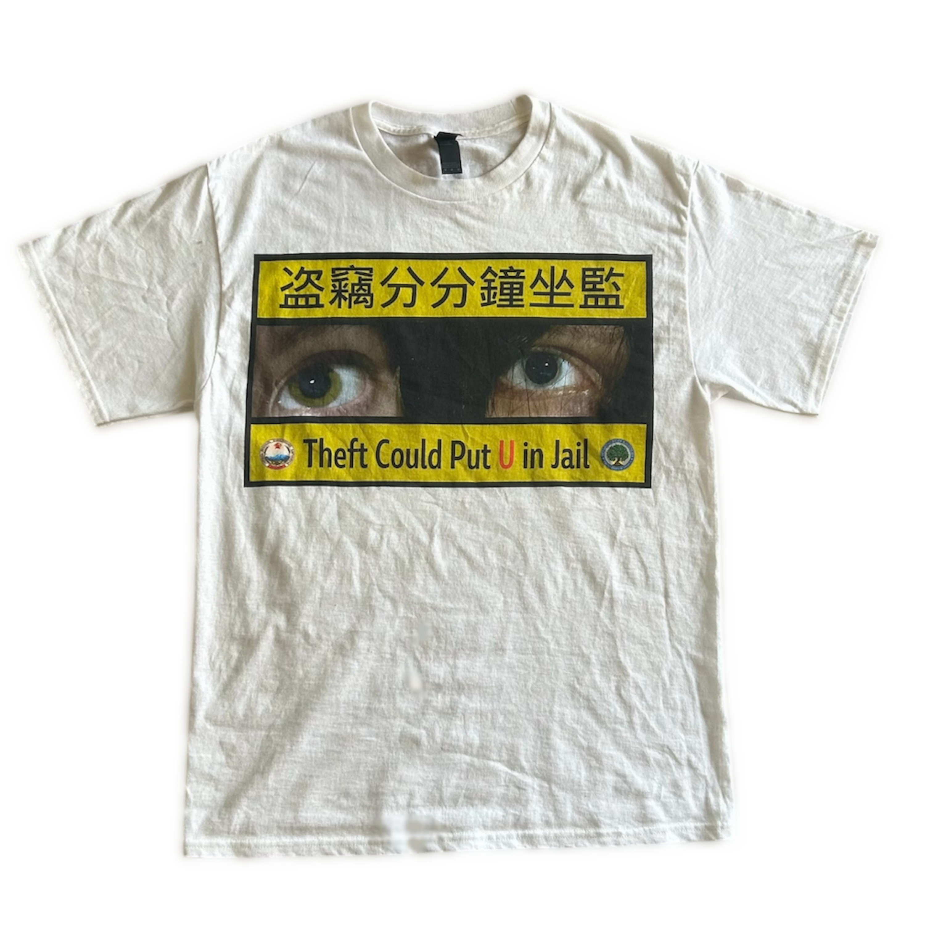 Surveillance State T Shirt